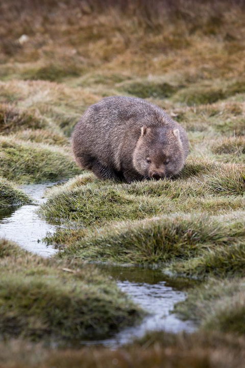 Arthur Riverfront And Sea Lodge Downstream - QLD Tourism 40