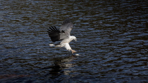 Arthur Riverfront And Sea Lodge Downstream - QLD Tourism 38