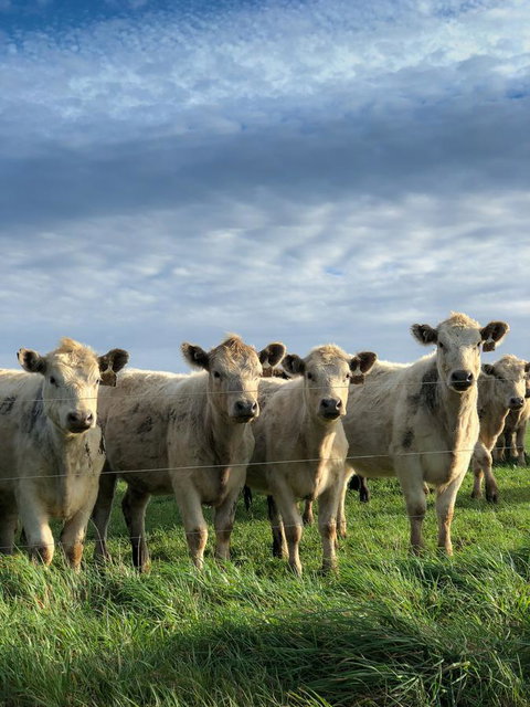 Arthur Riverfront And Sea Lodge Downstream - QLD Tourism 43