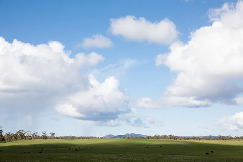 Arthur Riverfront And Sea Lodge Downstream - QLD Tourism 44