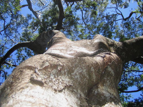 Arthur Riverfront And Sea Lodge Downstream - QLD Tourism 32