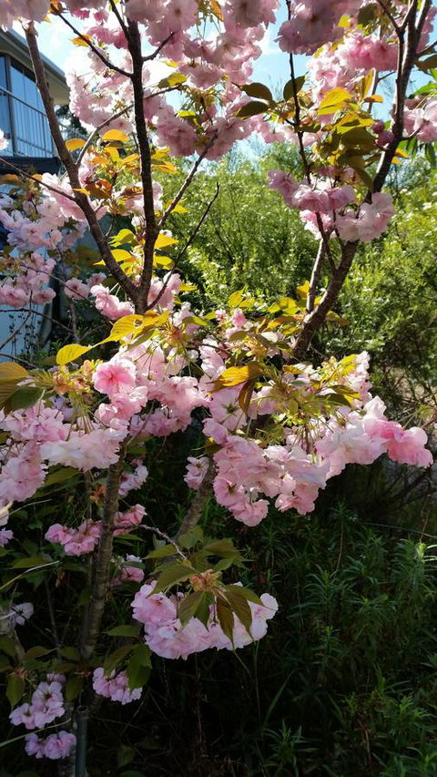 Beezneez B&B - Queensland Tourism 14