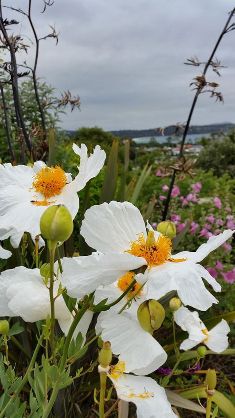 Beezneez B&B - Queensland Tourism 13