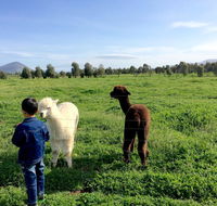 Taras Richmond Farmstay - Queensland Tourism