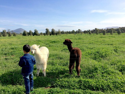 Taras Richmond Farmstay - QLD Tourism 0