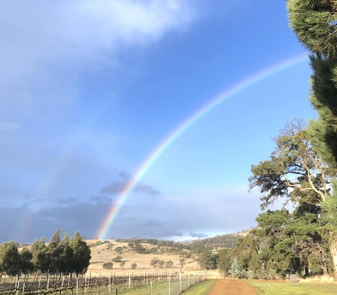 Taras Richmond Farmstay - QLD Tourism 29