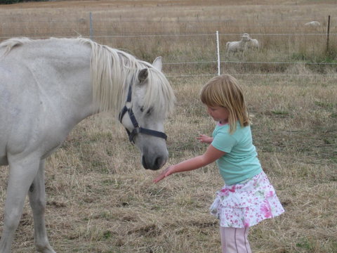 Taras Richmond Farmstay - QLD Tourism 19