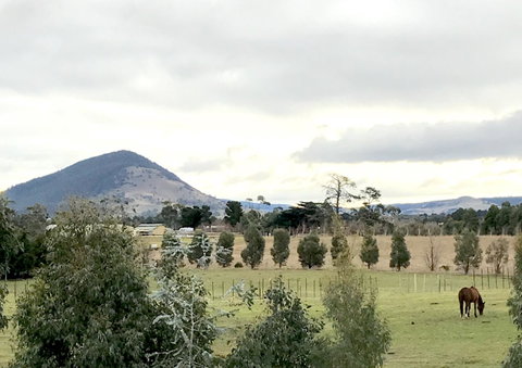 Taras Richmond Farmstay - QLD Tourism 1