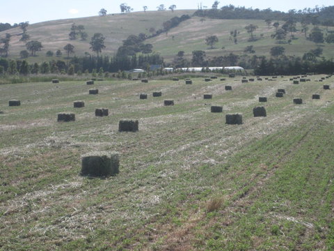 Taras Richmond Farmstay - QLD Tourism 18