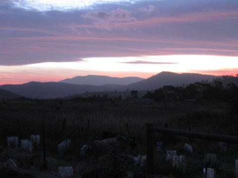 Taras Richmond Farmstay - QLD Tourism 22