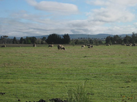 Taras Richmond Farmstay - QLD Tourism 13