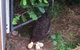 Taras Richmond Farmstay - thumb 25