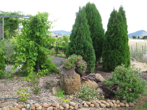 Taras Richmond Farmstay - QLD Tourism 23