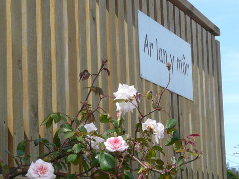 Ar Lan Y Mor - Queensland Tourism 12
