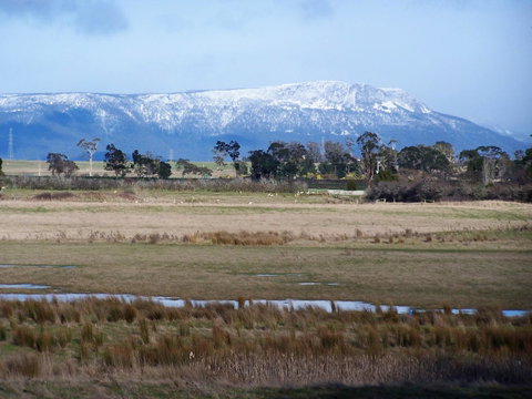 Lyttleton Cottage - QLD Tourism 30