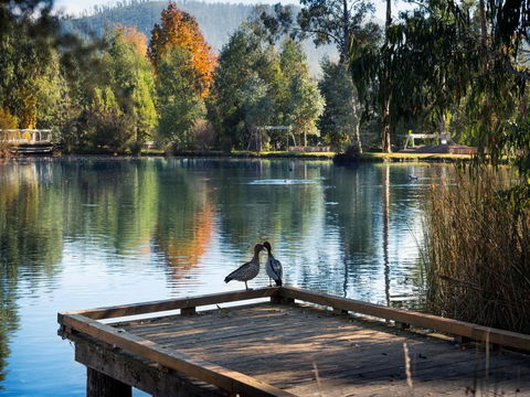 Peppers Marysville - QLD Tourism 12