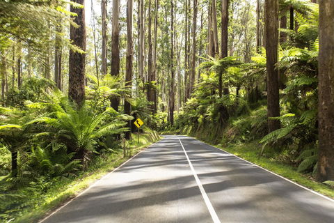 Peppers Marysville - QLD Tourism 21