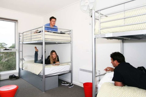 The Island Accommodation - QLD Tourism 2