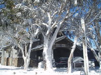 Book Dinner Plain Accommodation Vacations QLD Tourism QLD Tourism