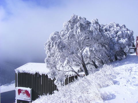Arlberg Hotham - Queensland Tourism 15