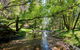 Avalon House - thumb 7