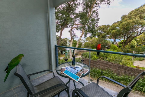 Lorne Surf Apartments - QLD Tourism 21
