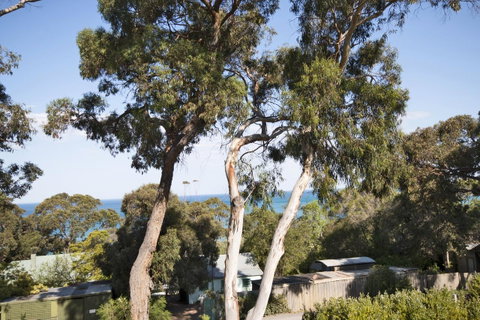Lorne Surf Apartments - QLD Tourism 6