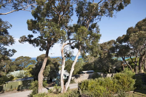 Lorne Surf Apartments - QLD Tourism 11