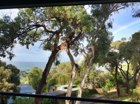 Lorne Surf Apartments - QLD Tourism 4
