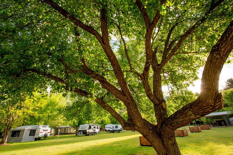 Discovery Parks - Bright - Queensland Tourism 31