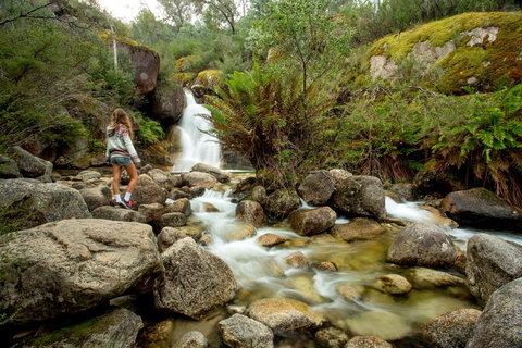 Discovery Parks - Bright - Queensland Tourism 21