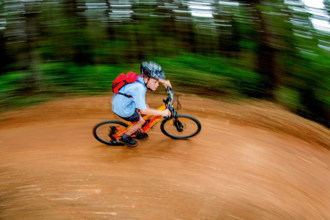 Discovery Parks - Bright - Queensland Tourism 22