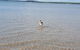 Wilsons Promontory Motel - thumb 35