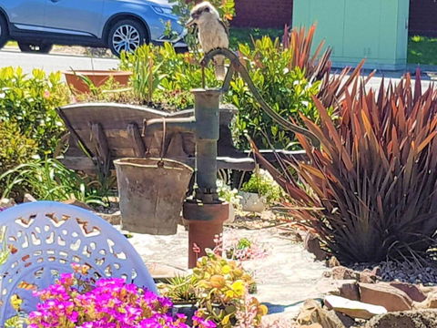 Wilsons Promontory Motel - Queensland Tourism 8