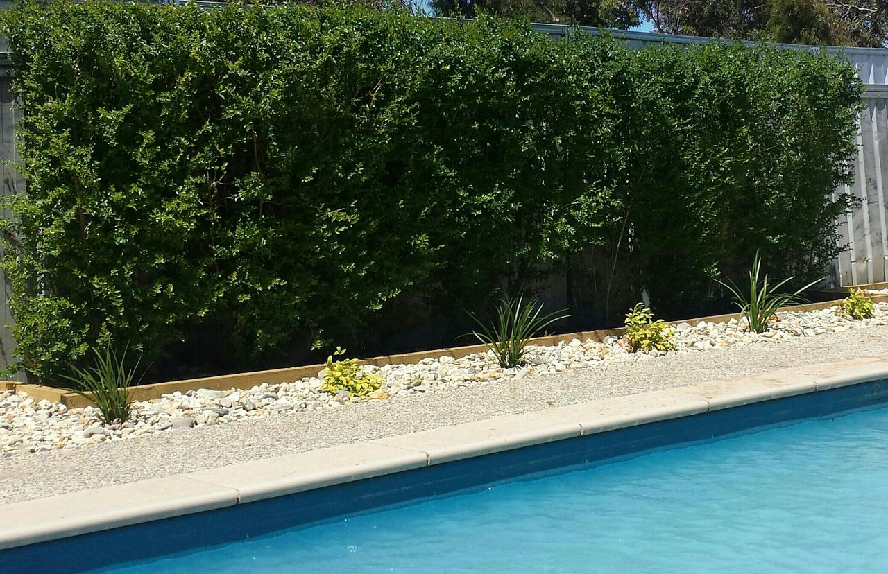 Robinvale Irrigation District Section E VIC QLD Tourism