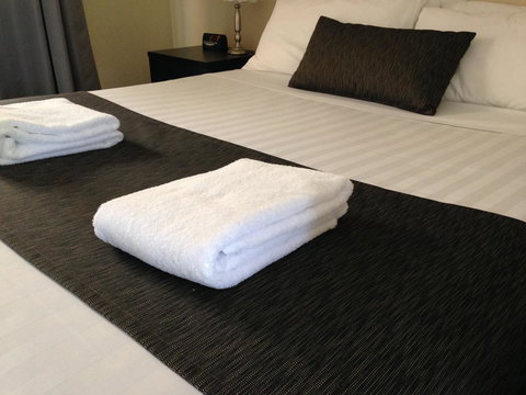 Robinvale Bridge Motel - QLD Tourism 7