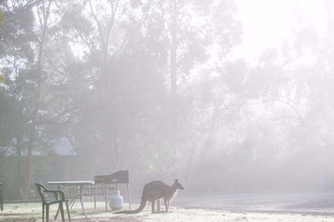 Gariwerd Motel - QLD Tourism 18