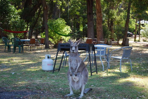 Gariwerd Motel - QLD Tourism 26