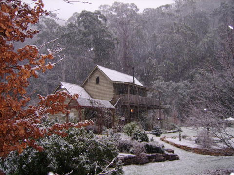 Shady Brook Cottages - Queensland Tourism 24