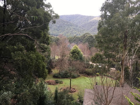Shady Brook Cottages - Queensland Tourism 18