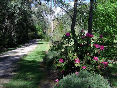 Shady Brook Cottages - Queensland Tourism 15