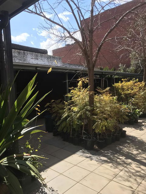 CROWN CENTRAL BUSINESS DISTRICT MOTEL - NO UNDER 18s - QLD Tourism 15