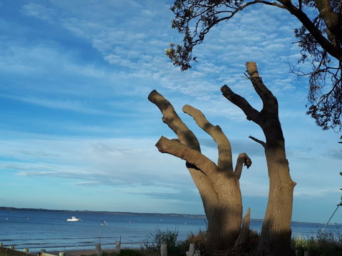 Apartments In Phillip Island Towers - Block C - QLD Tourism 10