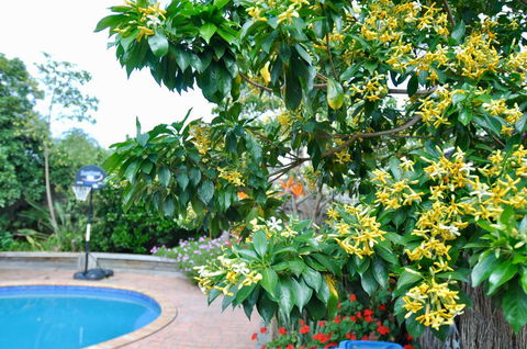 Crimea Retreat - QLD Tourism 20