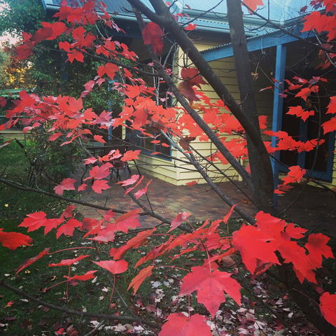 The Orchard House - Queensland Tourism 27