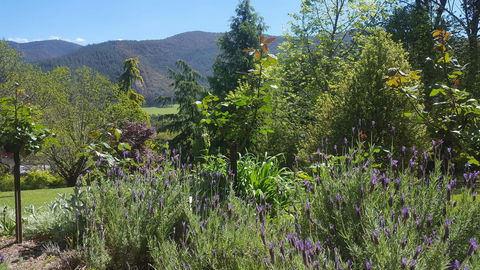 Abbys Cottages Bright - Queensland Tourism 33