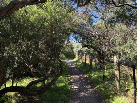 Beautiful, Cosy And Quiet - QLD Tourism 20