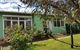 Green Grove - thumb 1