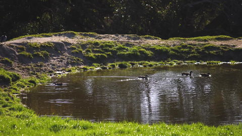 Limosa Rise - QLD Tourism 15
