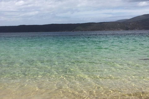 The Cove... On The Rocks At Port Arthur - QLD Tourism 1